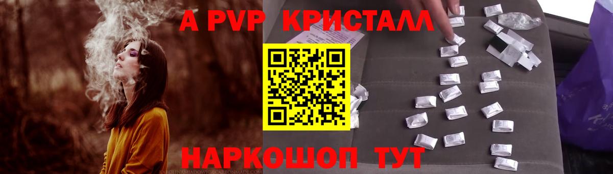 A PVP СК КРИС Губкин