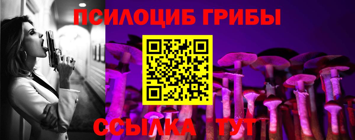 Губкин  Галлюциногенные грибы GOLDEN TEACHER  цена   Вход с VPN 